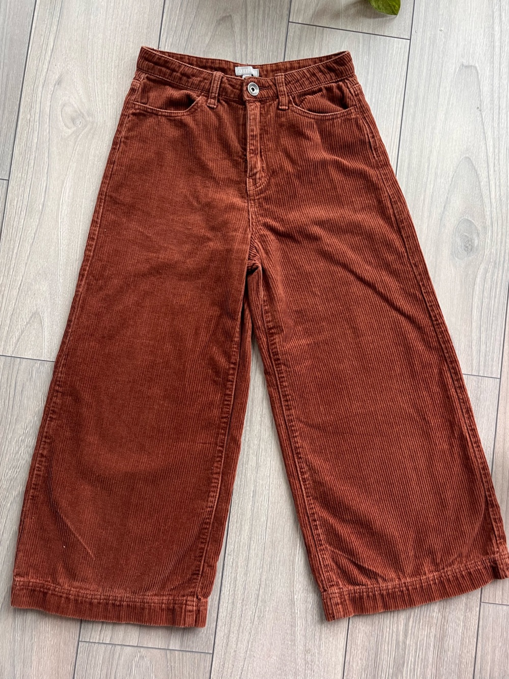 Vintage Rust Corduroy Cropped Wide Leg Pants